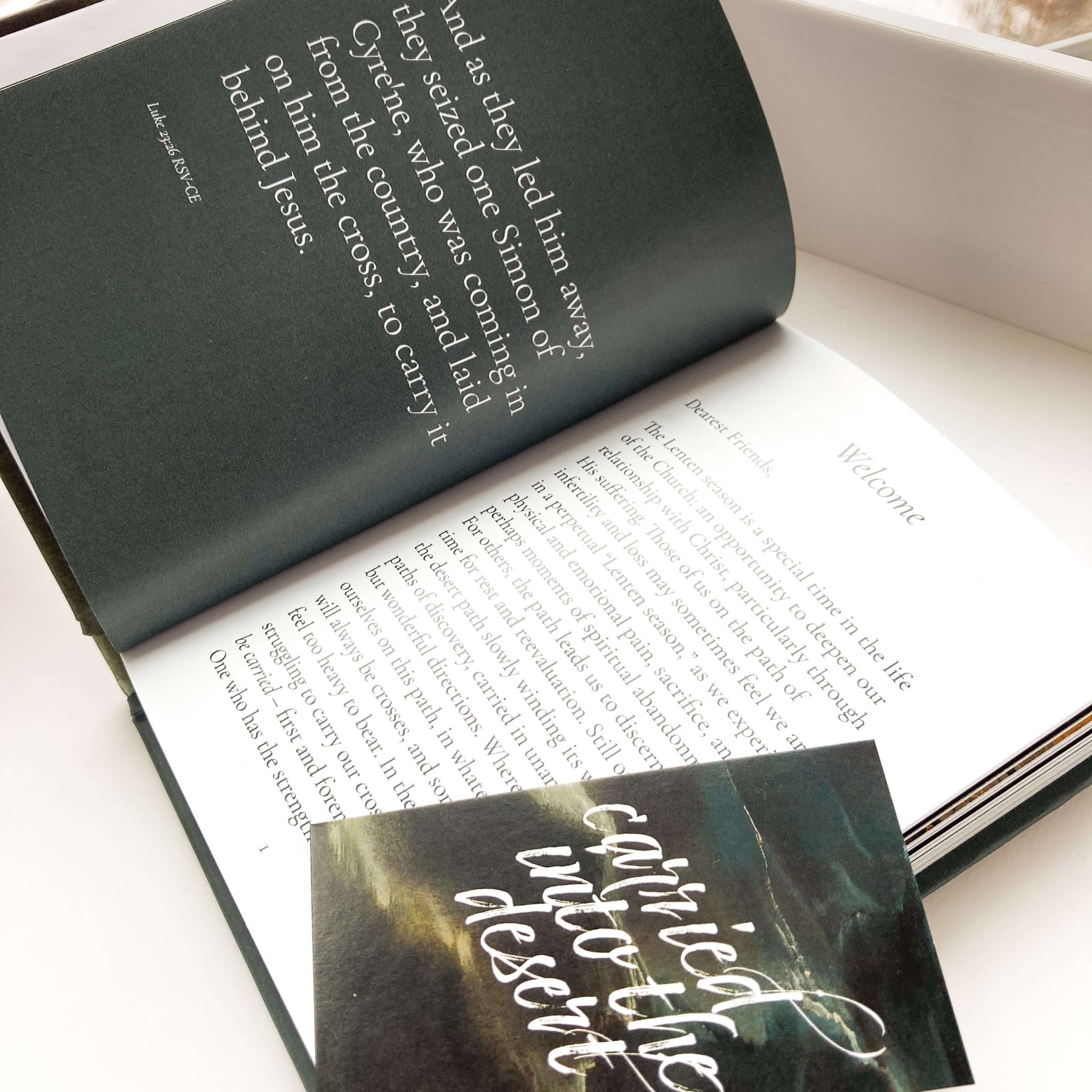 Infertility Devotional for Lent • <em>Carried: A Desert Pilgrimage</em> + bundle - Image 4